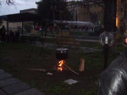 DSCF3085